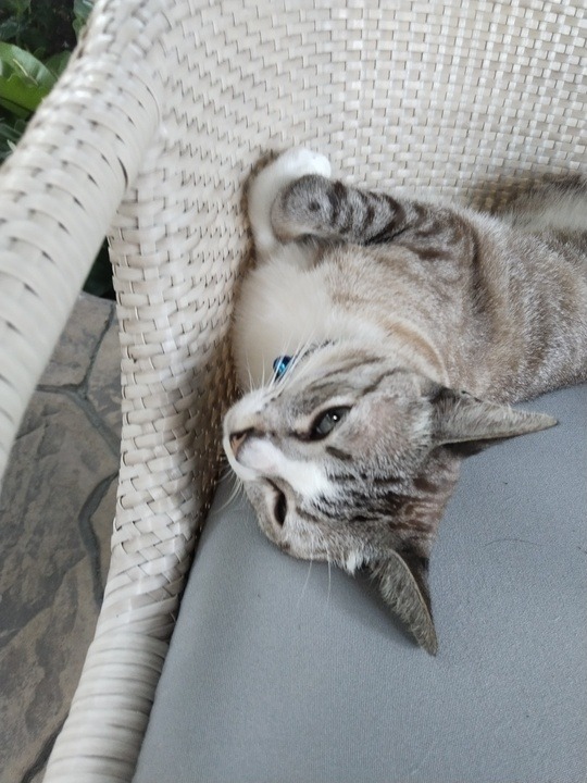 5300e082-f4ee-4f74-a7dc-42161c43cc17