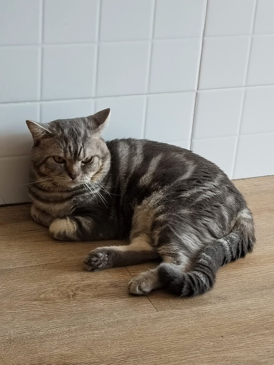 c8396ce4-8047-4058-a5e3-14fd29f87e16